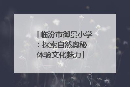 临汾市御景小学：探索自然奥秘 体验文化魅力