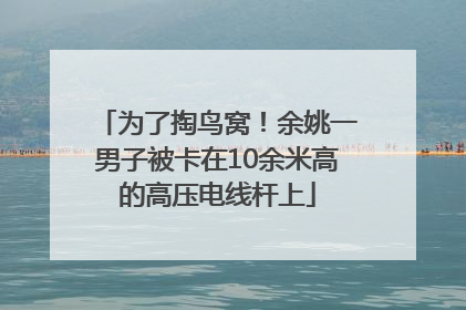 为了掏鸟窝！余姚一男子被卡在10余米高的高压电线杆上