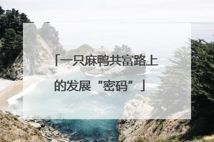 一只麻鸭共富路上的发展“密码”