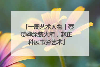 一周艺术人物｜蔡赟骅涂装火箭，赵正科展书影艺术
