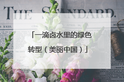 一滴卤水里的绿色转型（美丽中国）