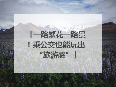 一路繁花一路景！乘公交也能玩出“旅游感”