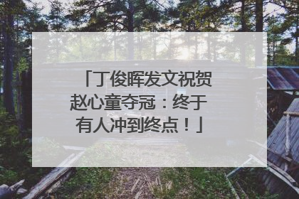 丁俊晖发文祝贺赵心童夺冠：终于有人冲到终点！