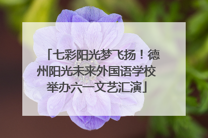 七彩阳光梦飞扬！德州阳光未来外国语学校举办六一文艺汇演