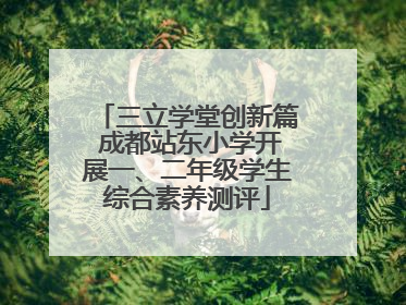 三立学堂创新篇 成都站东小学开展一、二年级学生综合素养测评