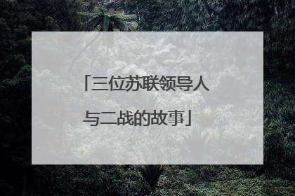 三位苏联领导人与二战的故事