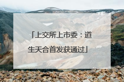 上交所上市委：道生天合首发获通过
