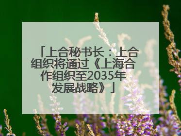上合秘书长：上合组织将通过《上海合作组织至2035年发展战略》