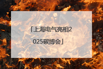 上海电气亮相2025碳博会