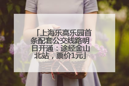 上海乐高乐园首条配套公交线路明日开通：途经金山北站，票价1元