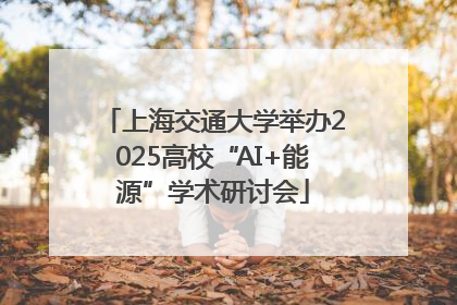 上海交通大学举办2025高校“AI+能源”学术研讨会