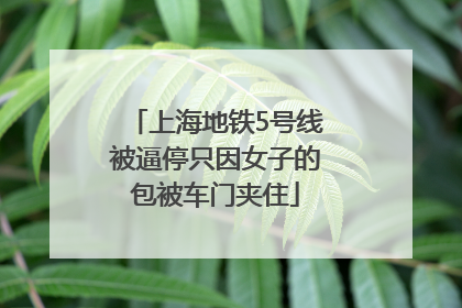 上海地铁5号线被逼停只因女子的包被车门夹住