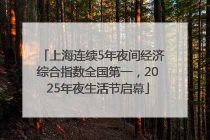上海连续5年夜间经济综合指数全国第一，2025年夜生活节启幕