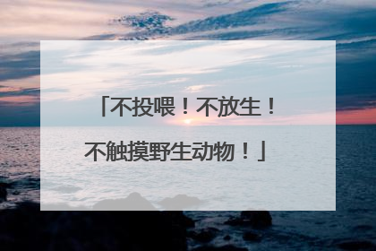 不投喂！不放生！不触摸野生动物！