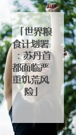 世界粮食计划署：苏丹首都面临严重饥荒风险