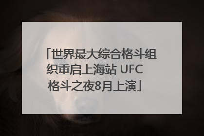 世界最大综合格斗组织重启上海站 UFC格斗之夜8月上演