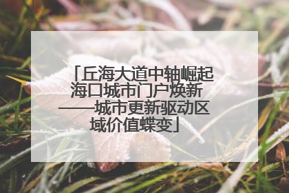 丘海大道中轴崛起 海口城市门户焕新——城市更新驱动区域价值蝶变