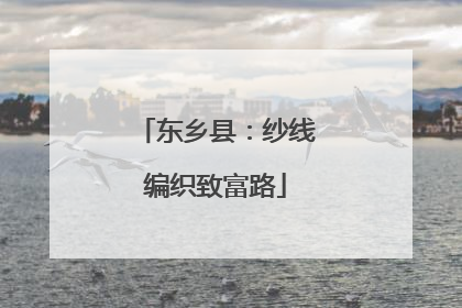 东乡县：纱线编织致富路