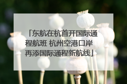 东航在杭首开国际通程航班 杭州空港口岸再添国际通程新航线