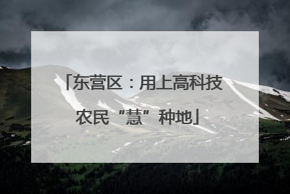 东营区：用上高科技 农民“慧”种地