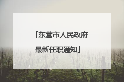 东营市人民政府最新任职通知