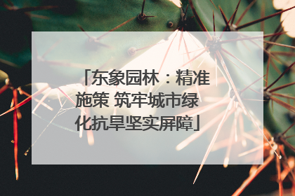 东象园林：精准施策 筑牢城市绿化抗旱坚实屏障