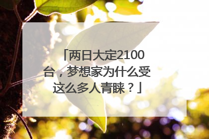 两日大定2100台，梦想家为什么受这么多人青睐？