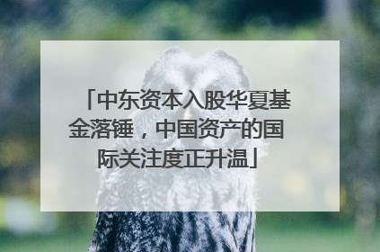 中东资本入股华夏基金落锤，中国资产的国际关注度正升温