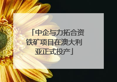 中企与力拓合资铁矿项目在澳大利亚正式投产