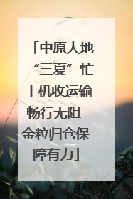 中原大地“三夏”忙丨机收运输畅行无阻 金粒归仓保障有力