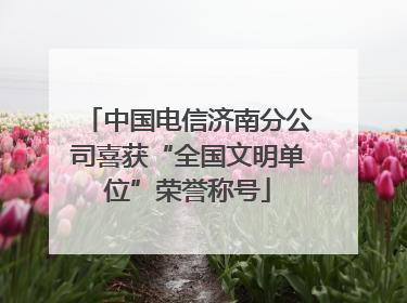 中国电信济南分公司喜获“全国文明单位”荣誉称号