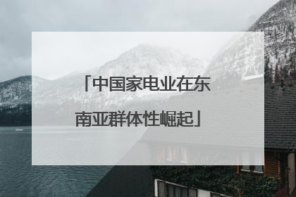 中国家电业在东南亚群体性崛起