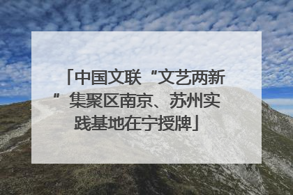 中国文联“文艺两新”集聚区南京、苏州实践基地在宁授牌
