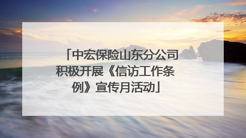 中宏保险山东分公司积极开展《信访工作条例》宣传月活动
