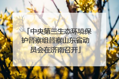 中央第三生态环境保护督察组督察山东省动员会在济南召开