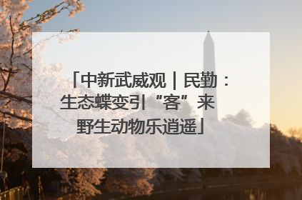 中新武威观｜民勤：生态蝶变引“客”来 野生动物乐逍遥