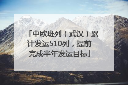 中欧班列（武汉）累计发运510列，提前完成半年发运目标