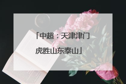 中超：天津津门虎胜山东泰山