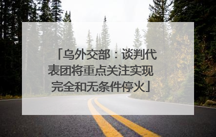 乌外交部：谈判代表团将重点关注实现完全和无条件停火