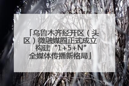乌鲁木齐经开区（头区）微融媒圈正式成立 构建“1+5+N”全媒体传播新格局