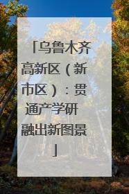乌鲁木齐高新区（新市区）：贯通产学研 融出新图景