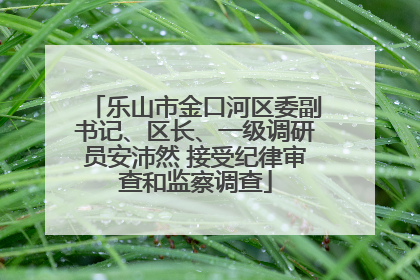 乐山市金口河区委副书记、区长、一级调研员安沛然 接受纪律审查和监察调查
