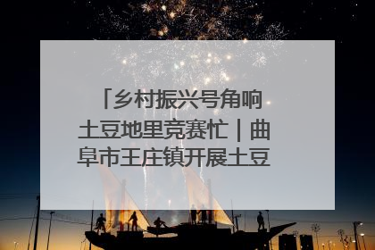 乡村振兴号角响 土豆地里竞赛忙｜曲阜市王庄镇开展土豆收获劳动竞赛