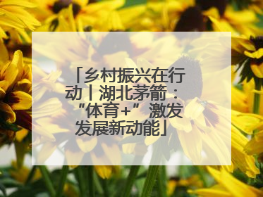 乡村振兴在行动丨湖北茅箭：“体育+”激发发展新动能