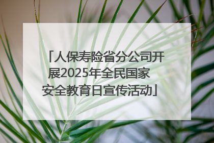 人保寿险省分公司开展2025年全民国家安全教育日宣传活动