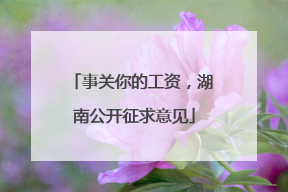 事关你的工资，湖南公开征求意见