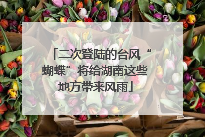 二次登陆的台风“蝴蝶”将给湖南这些地方带来风雨
