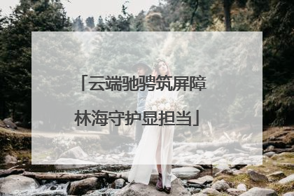 云端驰骋筑屏障 林海守护显担当