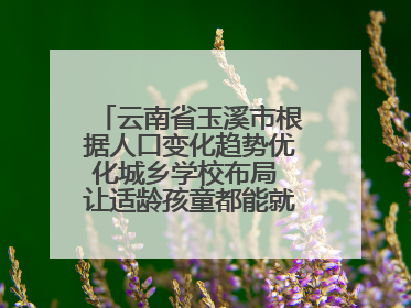 云南省玉溪市根据人口变化趋势优化城乡学校布局 让适龄孩童都能就近就便上好学