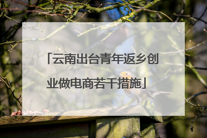 云南出台青年返乡创业做电商若干措施